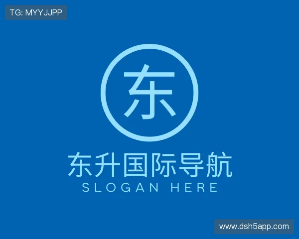 指南东升国际导航